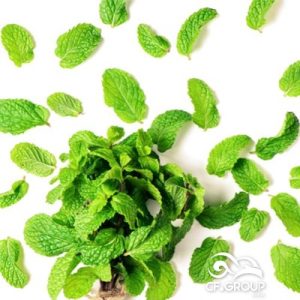 Suhe biljke Paprena metvica 1kg